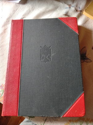 merikoski taistelu karjalasta