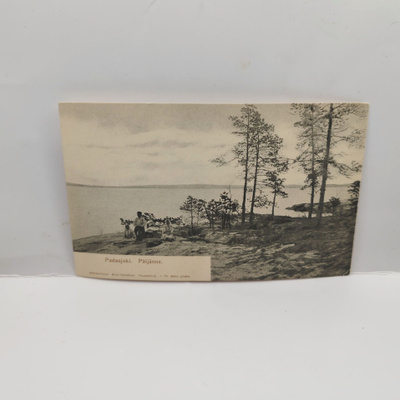 Padasjoki: Päijänne ***