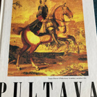 PETER ENGLUND: PULTAVA - pikkukuva 1