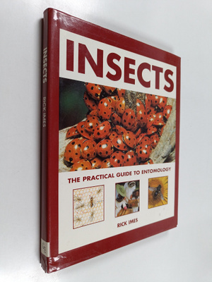 Rick Imes : Insects : the practical guide to entomology