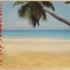 Various • Uh La La La • 16 Top Summerhits CD - pikkukuva 3