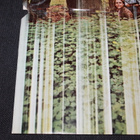 Show of Hands - Formerly Anthrax LP 1970 - pikkukuva 3