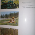 1966 valokuvateos Keski-Suomi - pikkukuva 2