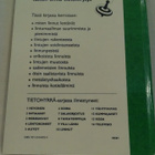 Linnut - Tietohyrrä 10 (sid.) - pikkukuva 2