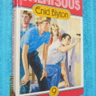 Enid Blyton - Kadonneen Prinssin SALAISUUS - pikkukuva 1