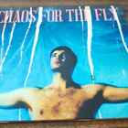 GRIAN CHATTEN Chaos for the fly (FONTAINES D.C.) CD - pikkukuva 1
