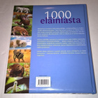 1000 ELÄINLASTA 382 SIVUINEN KUVA JA TIETOKIRJA ELÄIMISTÄ - pikkukuva 2