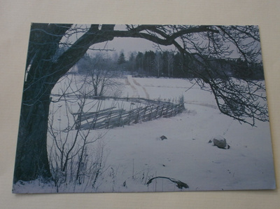 Suomalainen talvimaisema, WWF-kortti 15314/100, ei p.