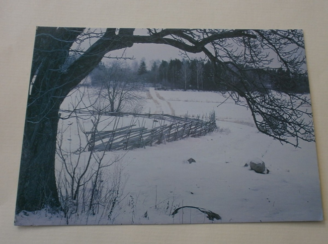 Suomalainen talvimaisema, WWF-kortti 15314/100, ei p.