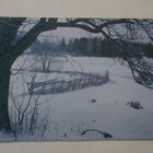 Suomalainen talvimaisema, WWF-kortti 15314/100, ei p. - pikkukuva 1