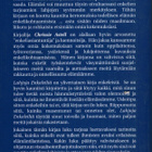 Chrissie Astell * Lahjoja Enkeleiltä - pikkukuva 2