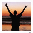 Fatboy Slim: Halfway Between The Gutter And The Stars CD - pikkukuva 3
