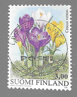 1999 KROOKUS LAPPEENRANTA 1999 HYVÄLLÄ LEIMALLA