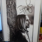 IGGY POP TAULU ITSE MESTARIN NIMMARILLA - pikkukuva 1