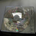 DEF LEPPARD - WHEN LOVE & HATE COLLIDE PROMO CD SINGLE + - pikkukuva 2