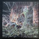 Grave: Into the grave LP Nesi Media - pikkukuva 4