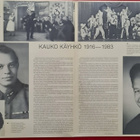 KAUKO KÄYHKÖ : KAUKO KÄYHKÖ  2-LP - pikkukuva 5