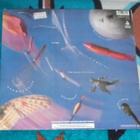 DEEP PURPLE ~ The House Of Blue Light ~ LP - pikkukuva 2