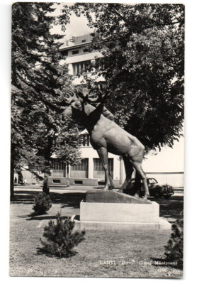 Lahti: Hirvipatsas (Jussi Mäntynen)