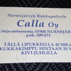 KIVI - JUHLAT 1996 PÄÄSYLIPPU - pikkukuva 2