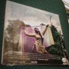 Katriina Honkanen & Wings to Fly Orchestra: Wings to Fly CDS - pikkukuva 2