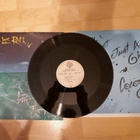David Lee Roth ~ Crazy From the Heat ~ LP 1985 Warner Bros. - pikkukuva 3