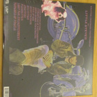 Little Steven born again savage 2x lp muoveissa musta vinyyl - pikkukuva 2