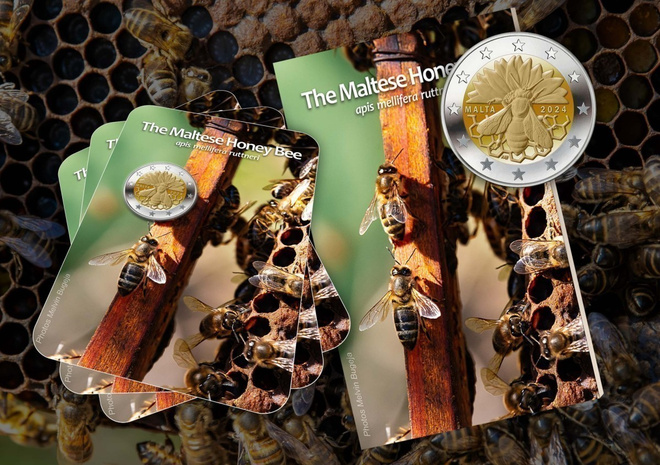 ** MALTA 2€ 2024 Maltese Honey Bee kansiossa **