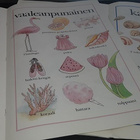Kate Gorman : Vastakohdat/Muodot/Värit/Numerot - pikkukuva 4