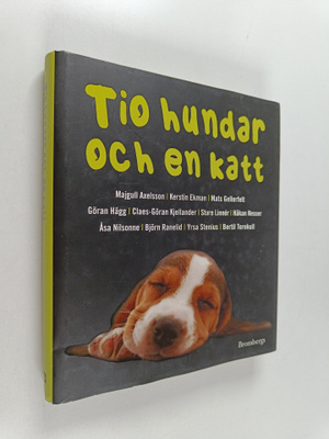 Tio hundar och en katt