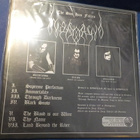 HABORYM - THE SUN HAS FALLEN M/M LP - pikkukuva 2