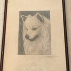 GRAFIIKKAA | A. Haapala 1935 | koirataulu - pikkukuva 4
