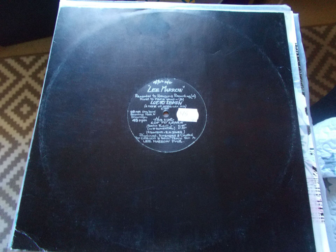 12" VINYYLI SINKKU LEE MARROW ** LOT TO LEARN **