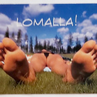 "Lomalla" KULKEMATON POSTIKORTTI - pikkukuva 1