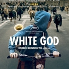 WHITE GOD (41 334) UUSI -FI- BLU-RAY 2014 unkari, - pikkukuva 2