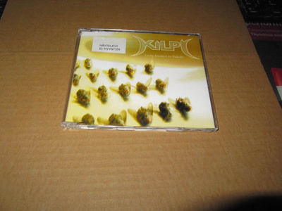 Kilpi CDS Laske kuolleet ja rukoile v.2005