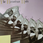 The Boomtown Rats: Mondo Bongo (LP) - pikkukuva 1