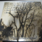 BITTERNESS - AS ALL BEAUTY STARTS TO FAIL 10'' EP UUSI - pikkukuva 2