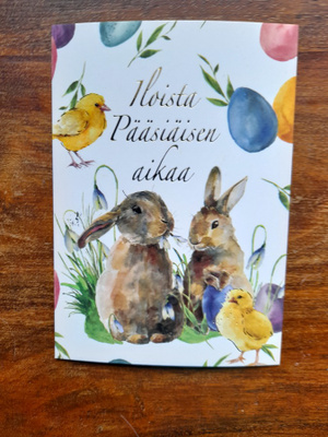 Iloista Pääsiäisen aikaa - Puput ja tipu