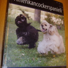 AMERIKANCOCKERSPANIELI ( Sis.postikulut ) - pikkukuva 1