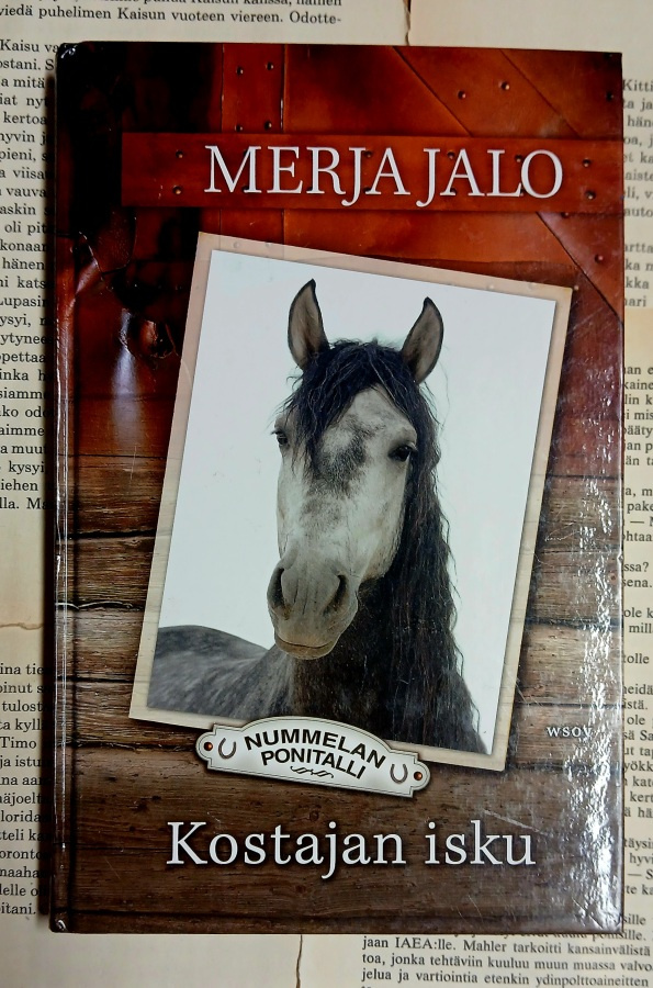 Merja Jalo - Kostajan isku (sid.)