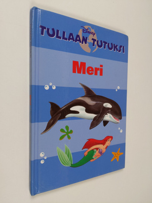 Peter Jepsen : Tullaan tutuksi : Meri