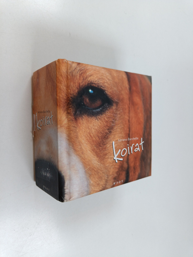 Adriano Bacchella : Koirat
