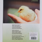 Pajunkissa 3/2016 - pikkukuva 2