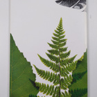 Books from Finland 2/1987 - pikkukuva 2