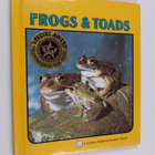 Sylvia A. Johnson ym. : Frogs & Toads - pikkukuva 1