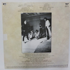 GRINGOS LOCOS - S/T M-/M- LP + KOKO BÄNDIN NIMMARIT! - pikkukuva 4