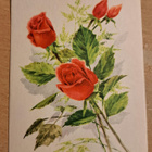 kukkakortti, pikkuruusuja, kulkenut 1956 - pikkukuva 1