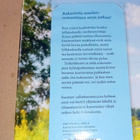 Kirsi Pehkonen : Kesävieraita Jylhäsalmella ( SIS POSTIKULU - pikkukuva 2