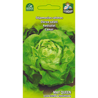 Salaatti "May Queen" siemenet #